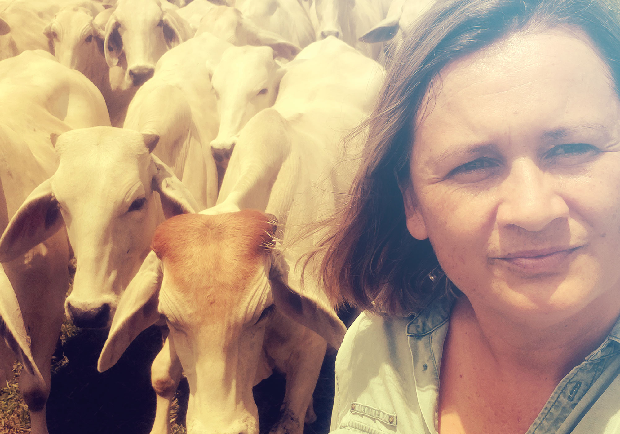 Ganado feliz, planeta feliz.